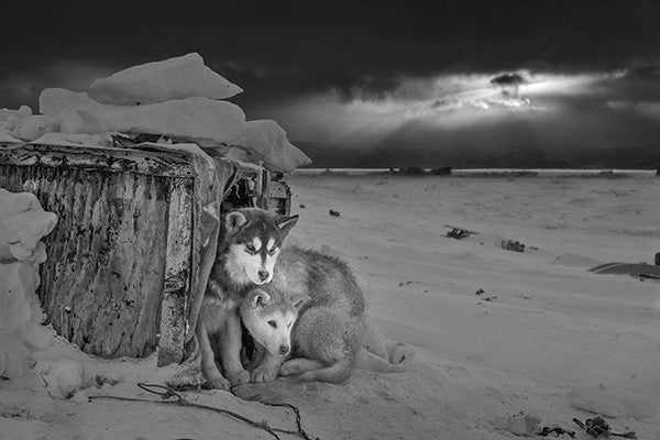 Ragnar Axelsson / Arctic Heroes