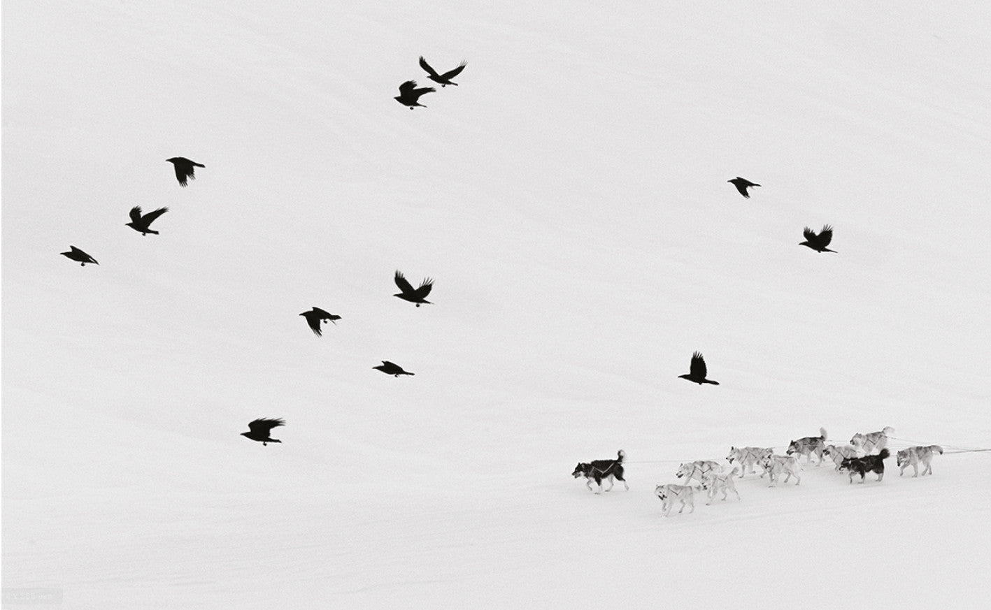 Ragnar Axelsson / Arctic Heroes