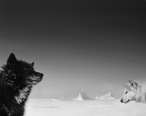 Ragnar Axelsson / Arctic Heroes
