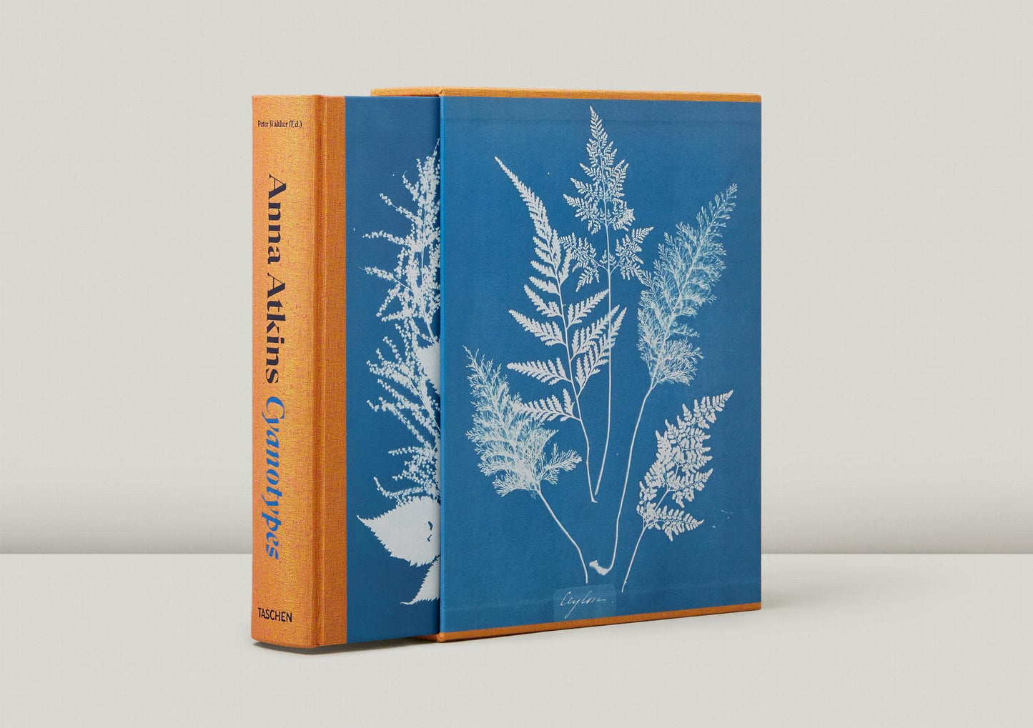 Anna Atkins / Cyanotypes