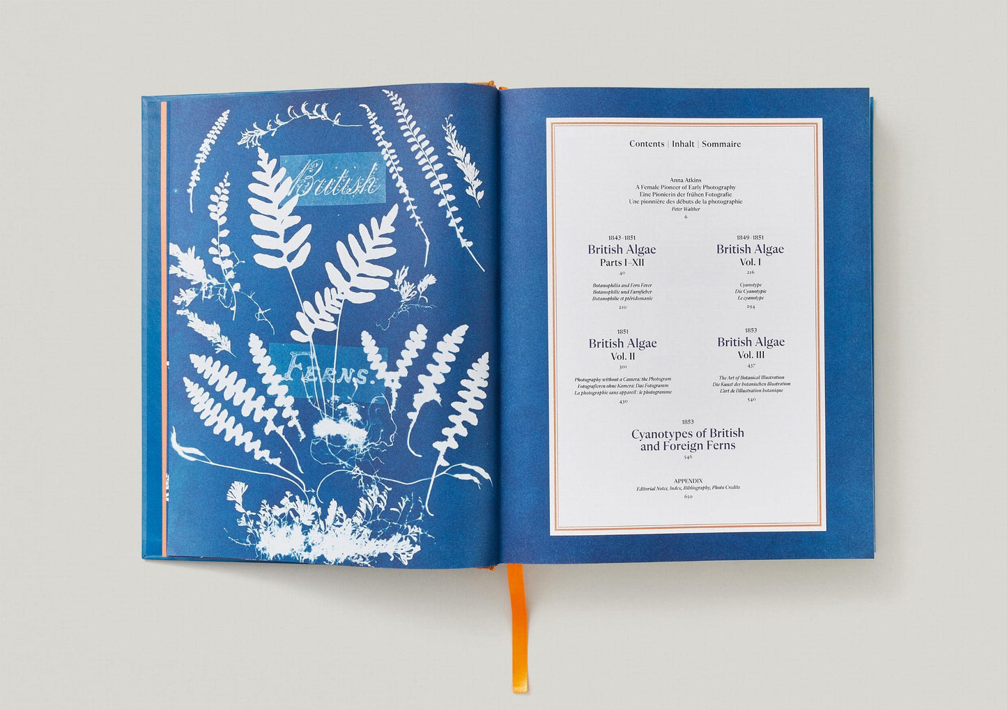 Anna Atkins / Cyanotypes