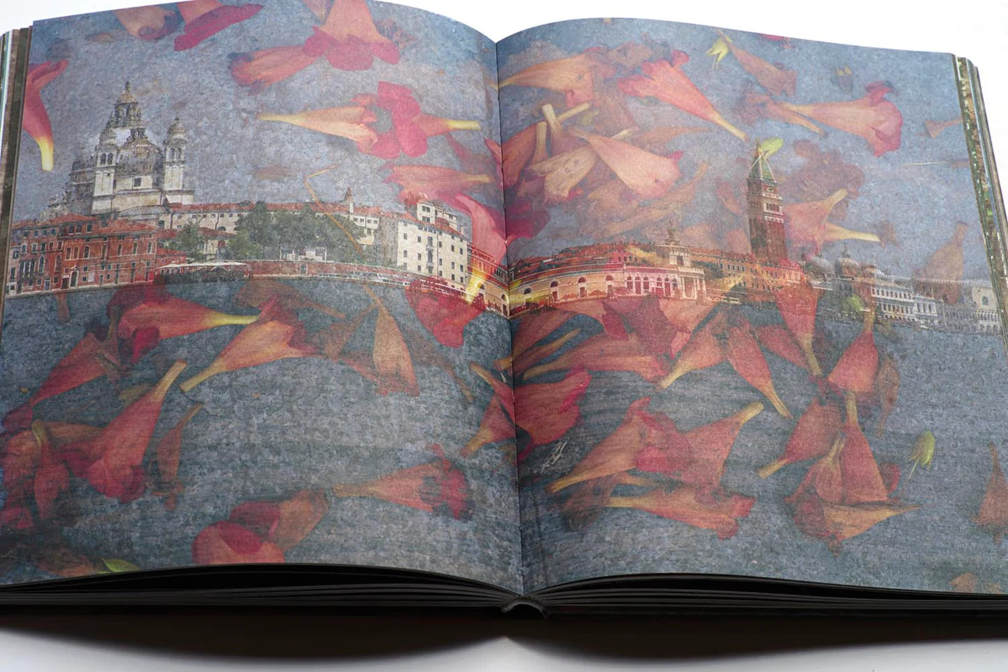 Bojan Brecelj / The Water Dragon of Venice – catalogue