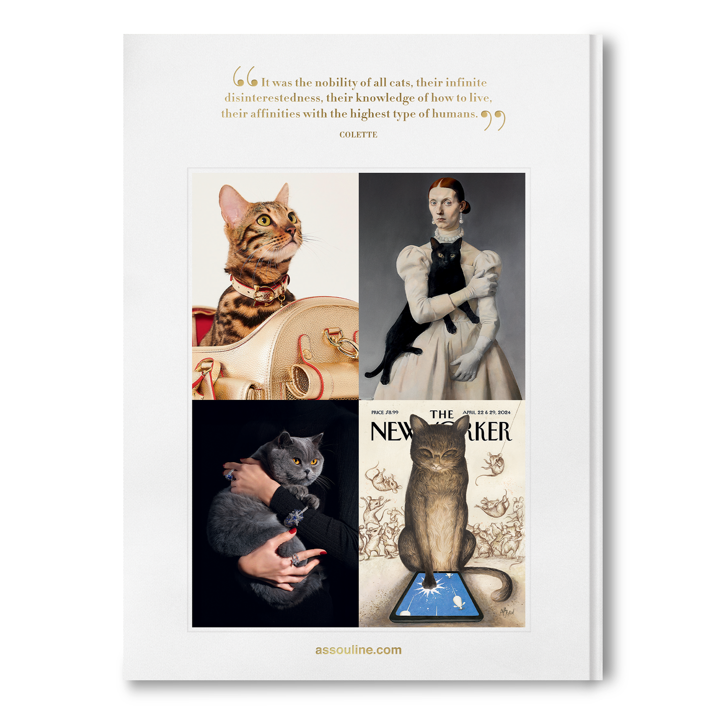 Chic Cats