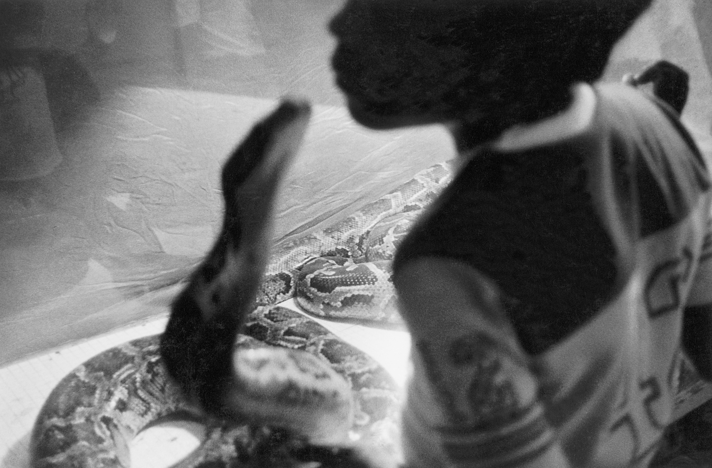 Graciela Iturbide / Infancia