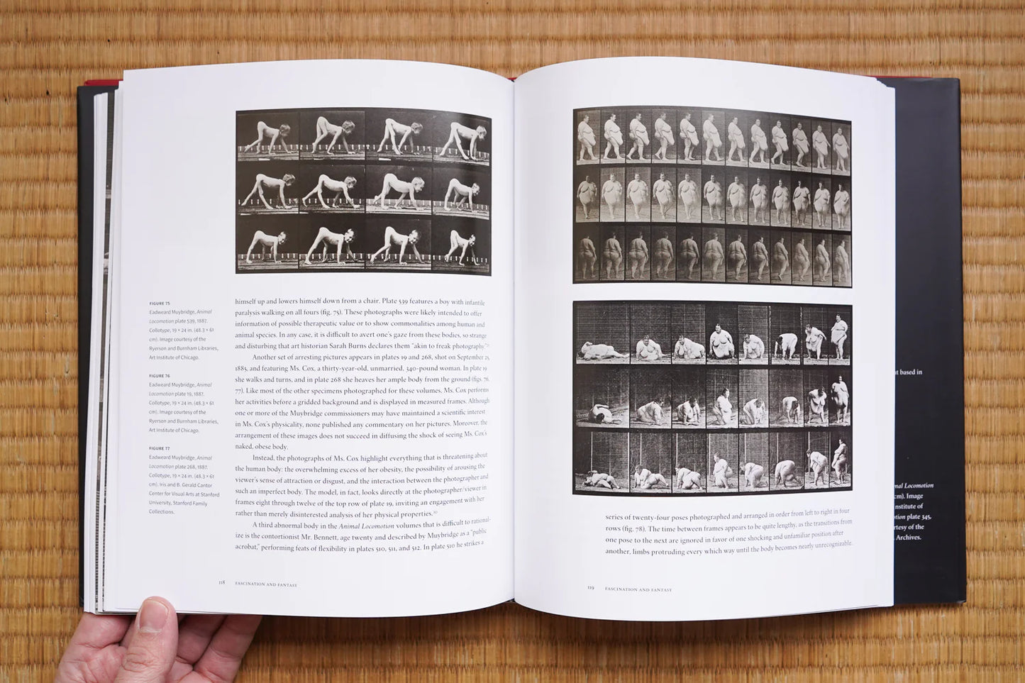 Sarah Gordon / Indecent Exposures. Eadward Muybridge's Animal Locomotion Nudes