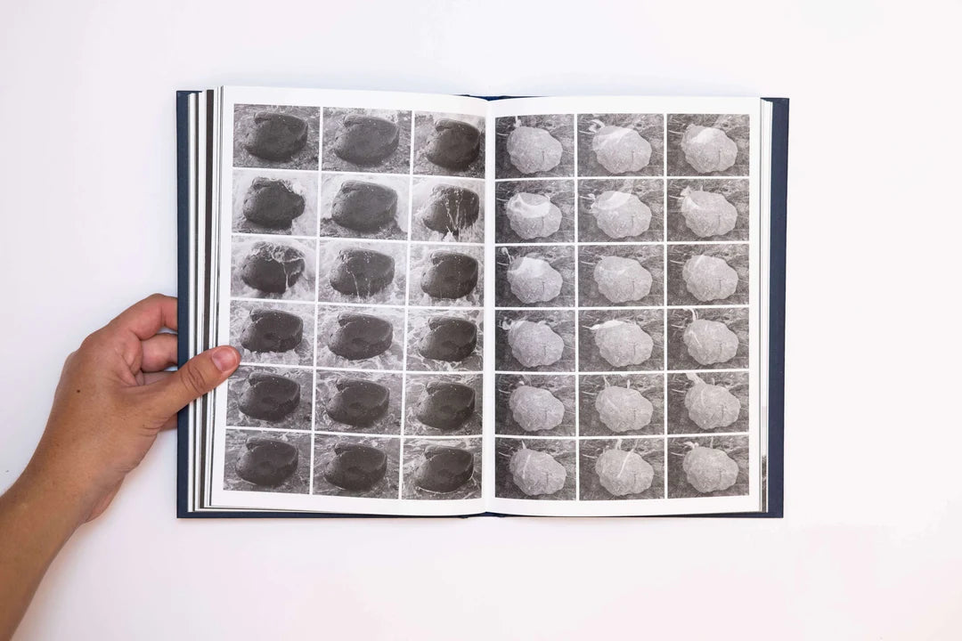 Emilia Martin / I Saw a Tree Bearing Stones in the Place of Apples and Pears