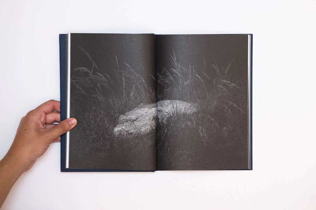 Emilia Martin / I Saw a Tree Bearing Stones in the Place of Apples and Pears