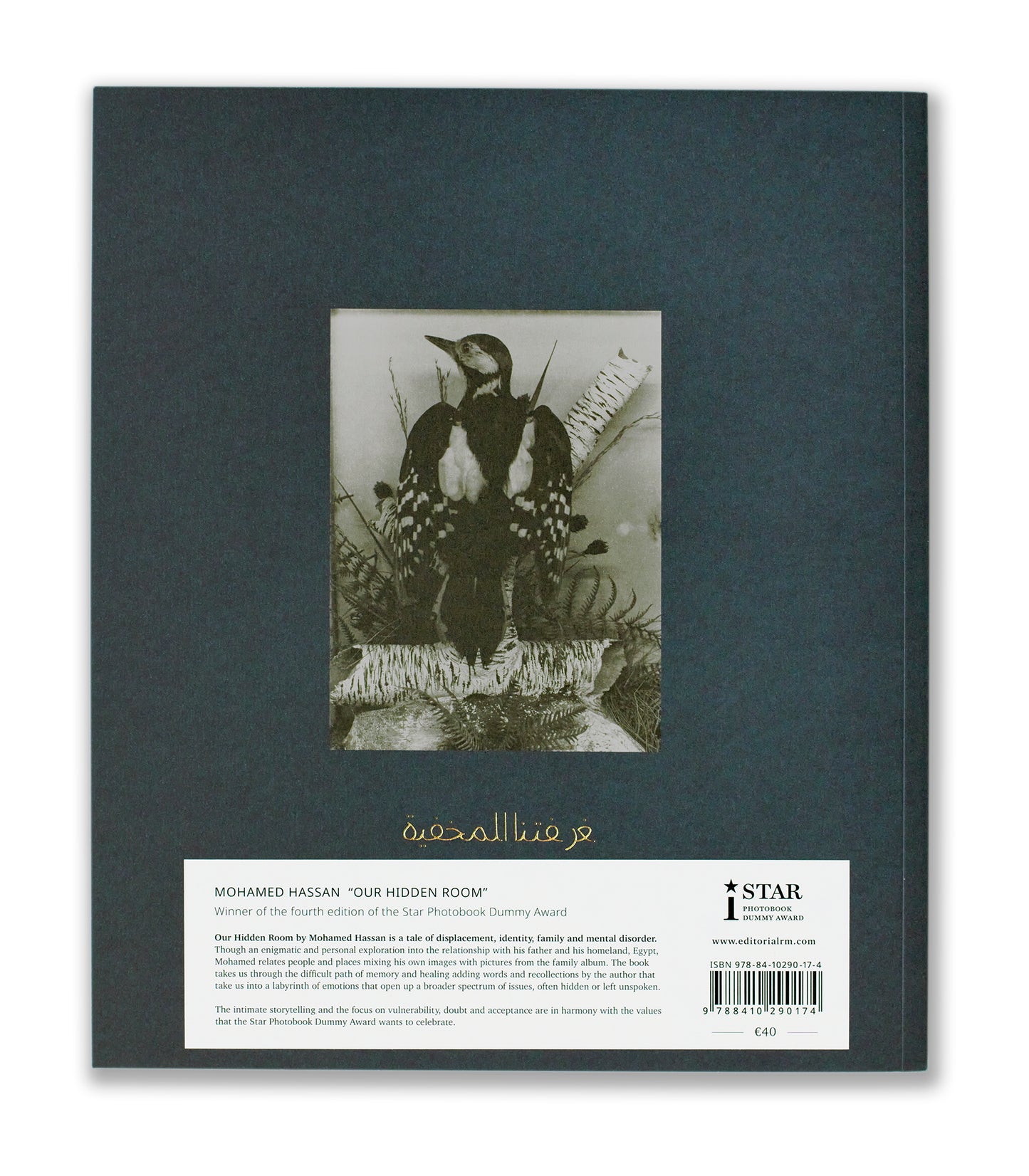 Hassan Mohame / Our Hidden Room