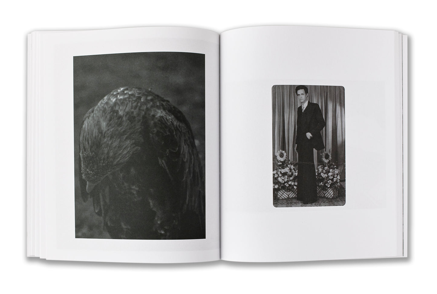 Hassan Mohame / Our Hidden Room