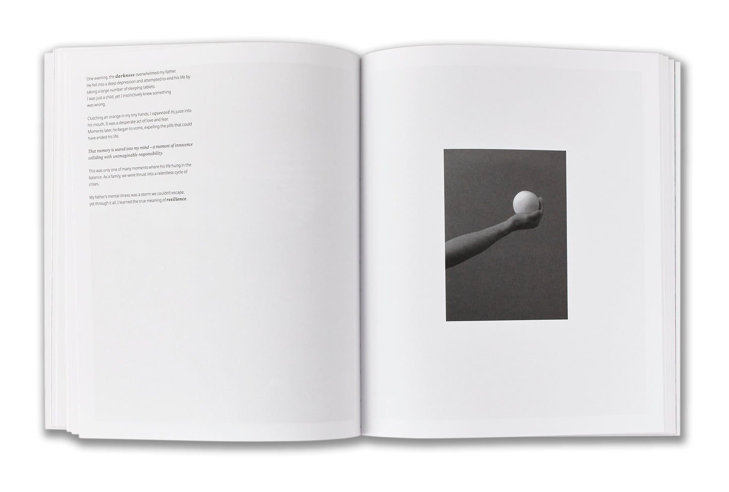 Hassan Mohame / Our Hidden Room