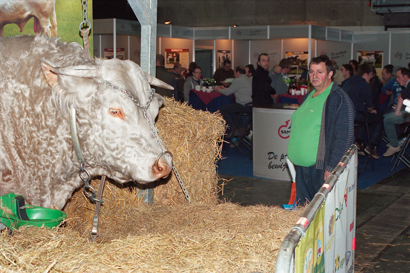 Paul Montagnon / Valse Triste