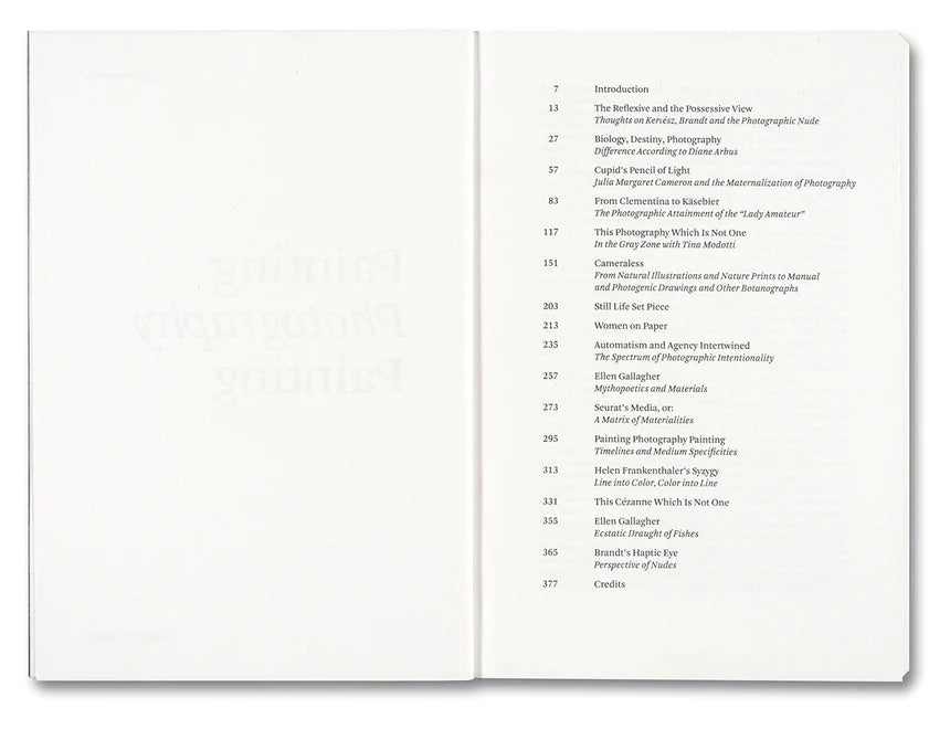 Carol Armstrong / Painting Photography Painting. Selected Essays