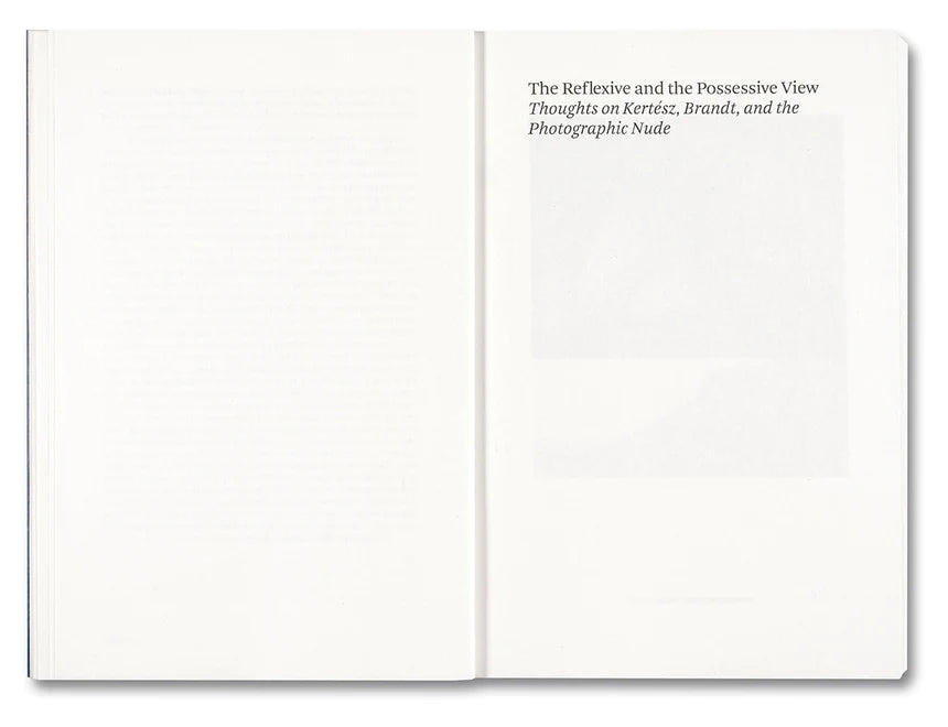 Carol Armstrong / Painting Photography Painting. Selected Essays