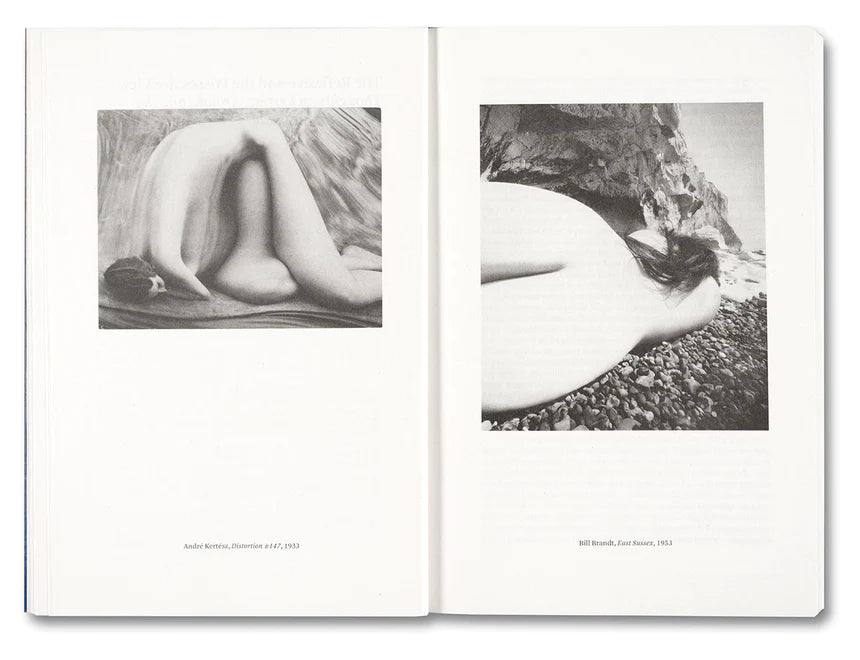 Carol Armstrong / Painting Photography Painting. Selected Essays