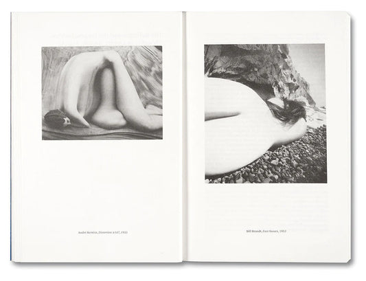 Carol Armstrong / Painting Photography Painting. Selected Essays