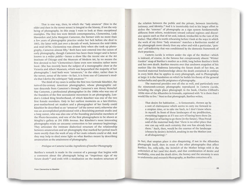 Carol Armstrong / Painting Photography Painting. Selected Essays
