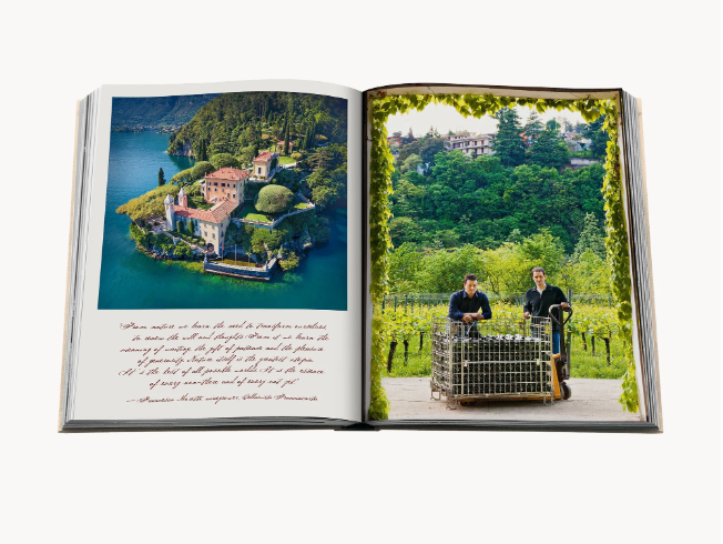 Wine & Travel: Italy