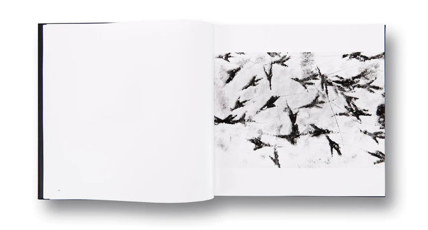 Masahisa Fukase / Ravens