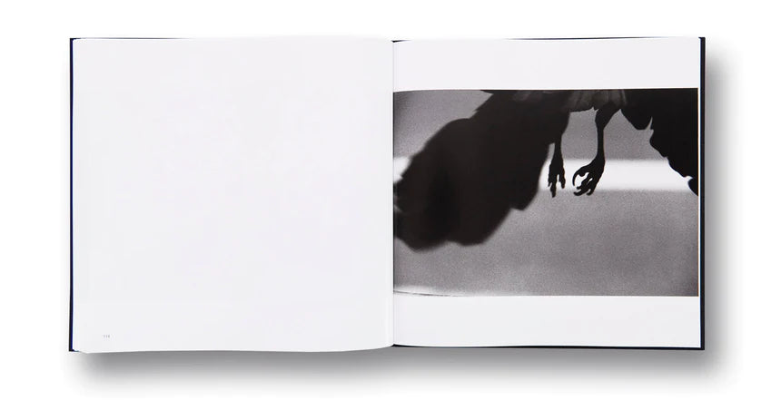 Masahisa Fukase / Ravens