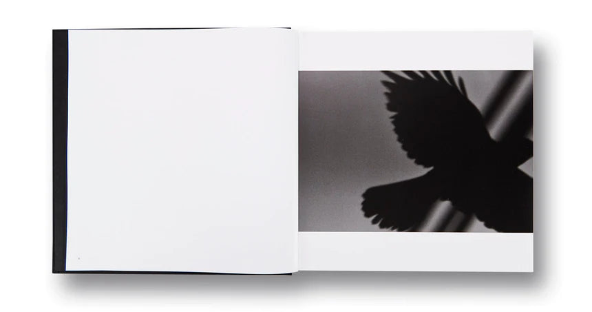 Masahisa Fukase / Ravens