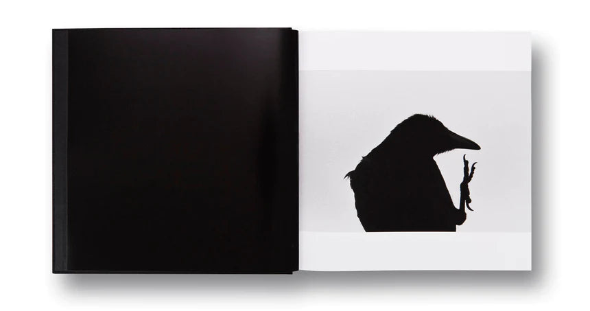 Masahisa Fukase / Ravens
