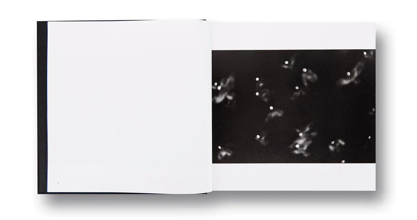 Masahisa Fukase / Ravens