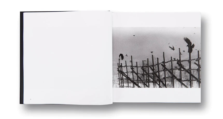 Masahisa Fukase / Ravens