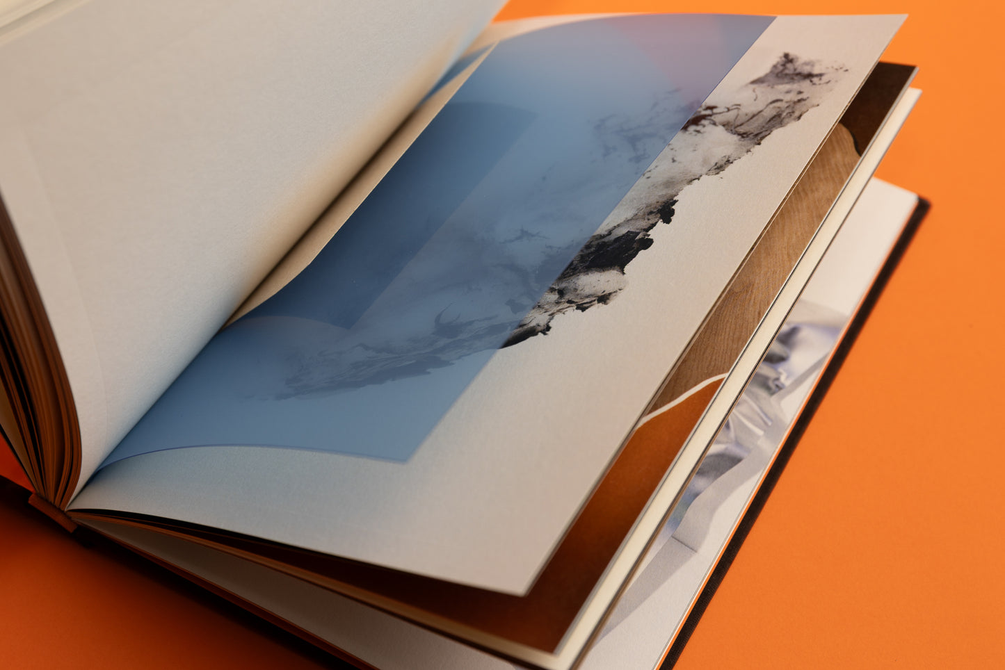 Sara Rman / Kjer pomni