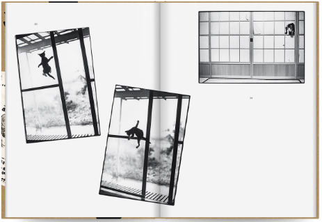 Masahisa Fukase / Sasuke