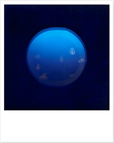 Rinko Kawauchi / Benrido Mini Collotype Portfolio: Early Works 1997