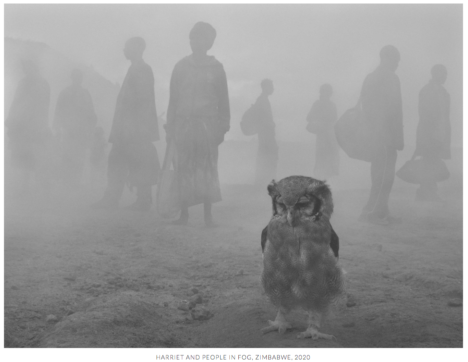 Nick Brandt / The Day May Break (Chapter One)