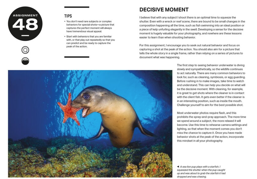 52 Assignments: Underwater Photography
