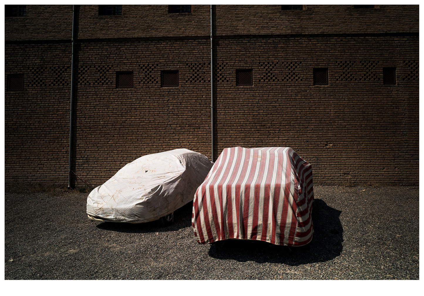 Simon Chang / Special edition of Shepherds and the Slaughterhouse (Pastirji in klavnica)