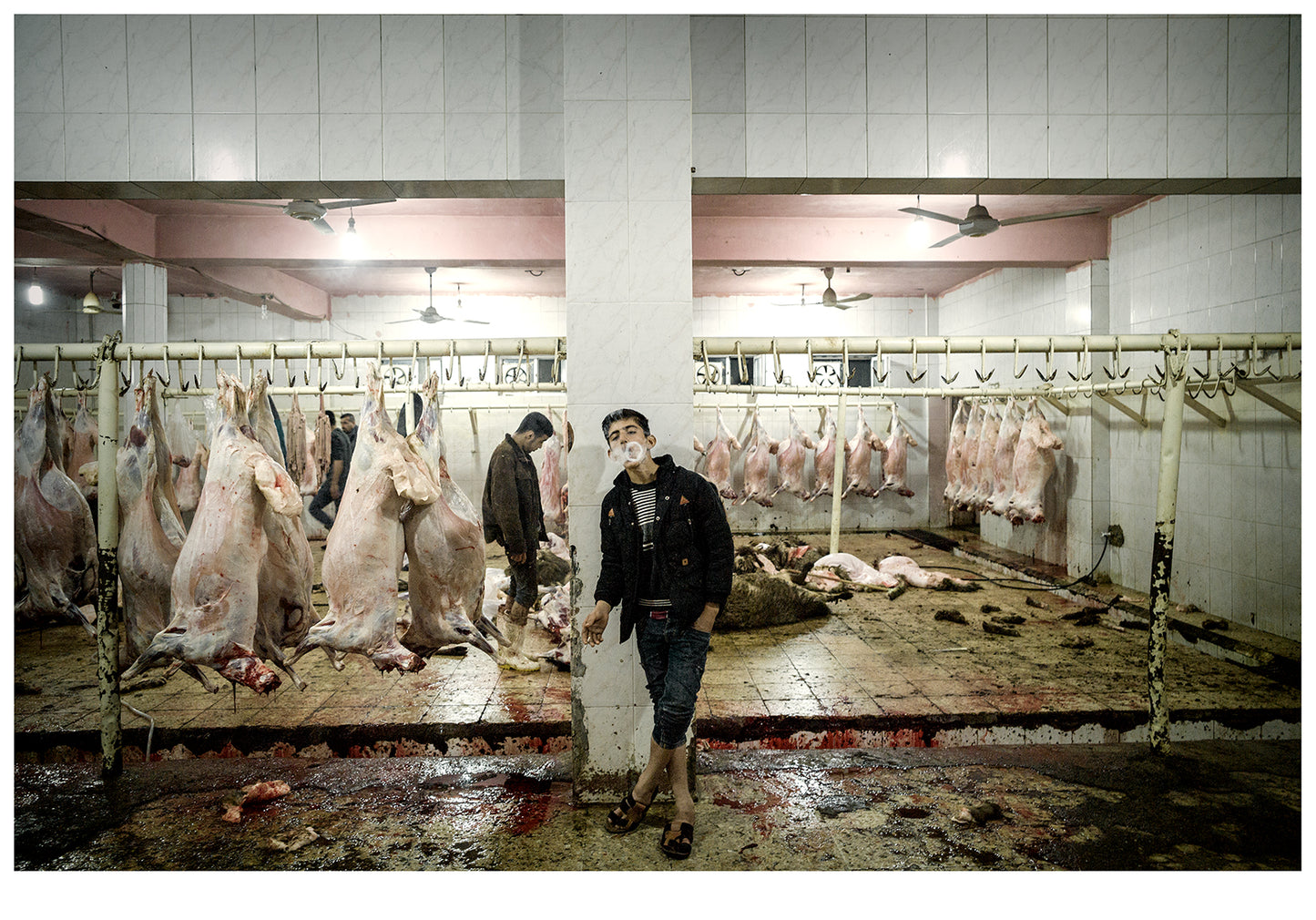 Simon Chang / Special edition of Shepherds and the Slaughterhouse (Pastirji in klavnica)