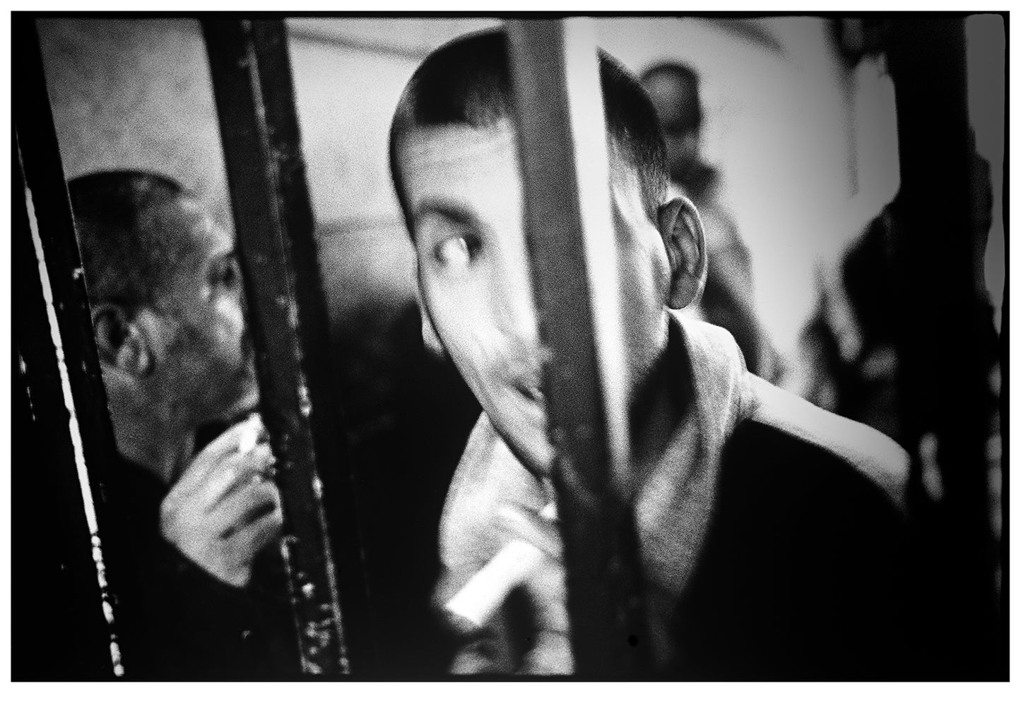 Simon Chang / Special edition of Shepherds and the Slaughterhouse (Pastirji in klavnica)