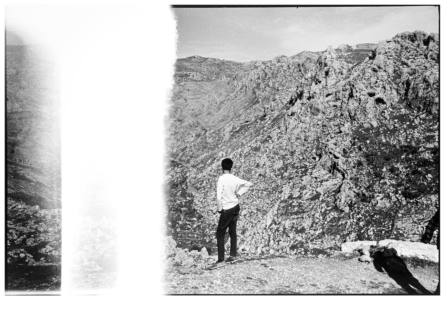 Simon Chang / Special edition of Shepherds and the Slaughterhouse (Pastirji in klavnica)