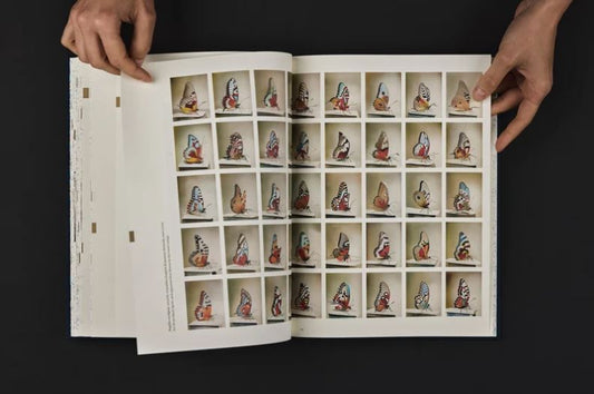 Weronika Gęsicka / Encyclopaedia