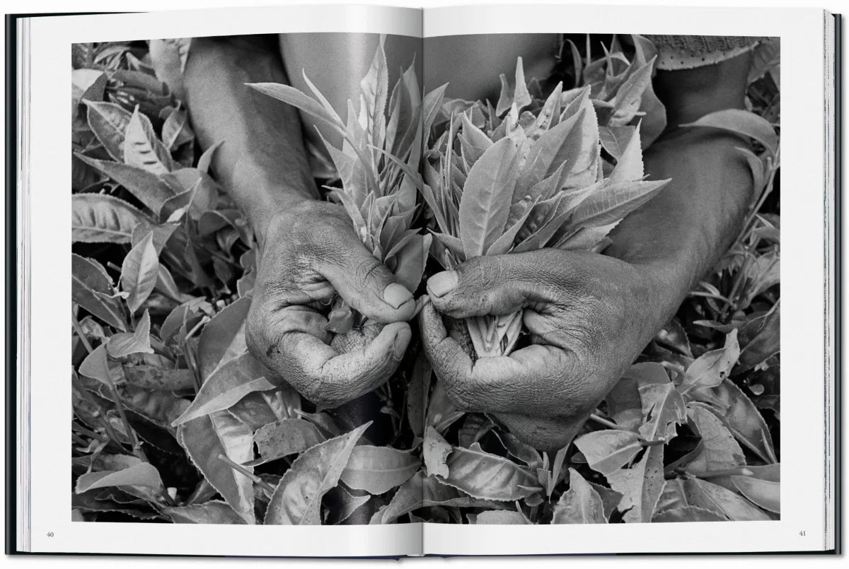 Sebastião Salgado / Workers