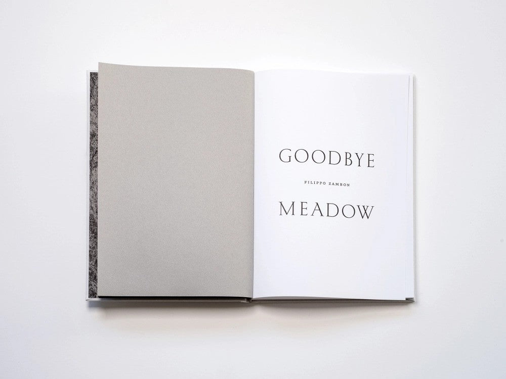 Filippo Zambon / Goodbye Meadow
