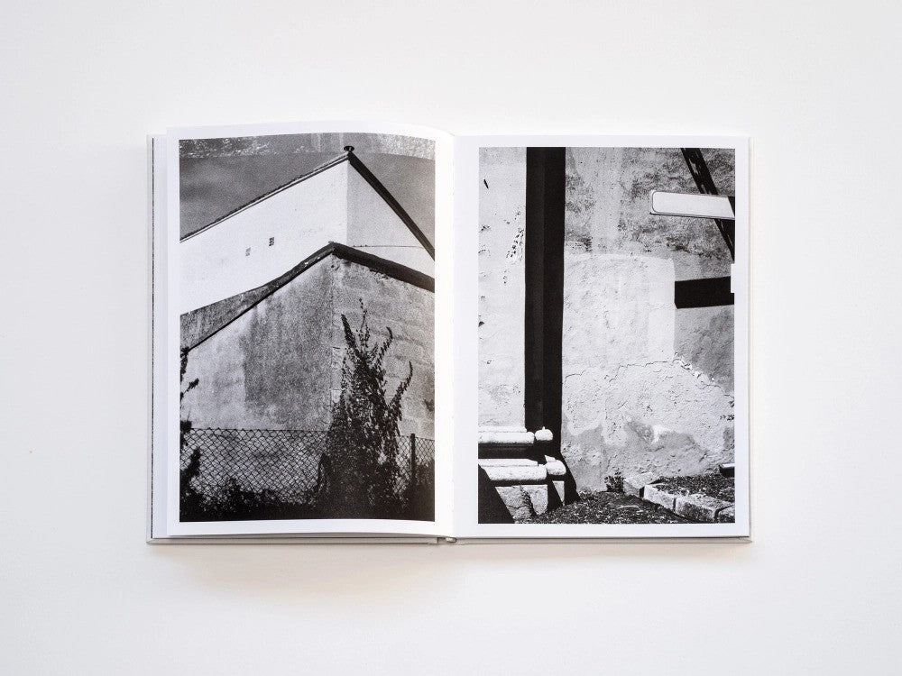 Filippo Zambon / Goodbye Meadow