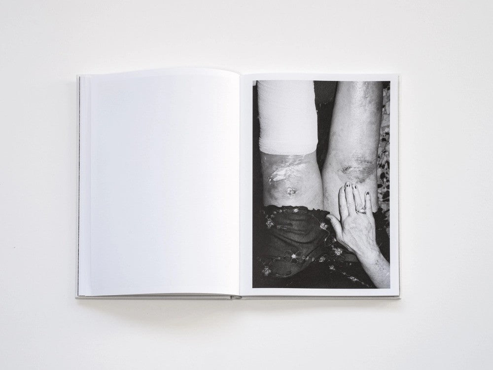 Filippo Zambon / Goodbye Meadow