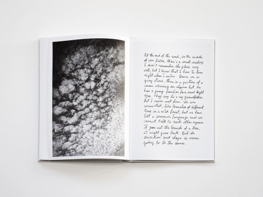 Filippo Zambon / Goodbye Meadow