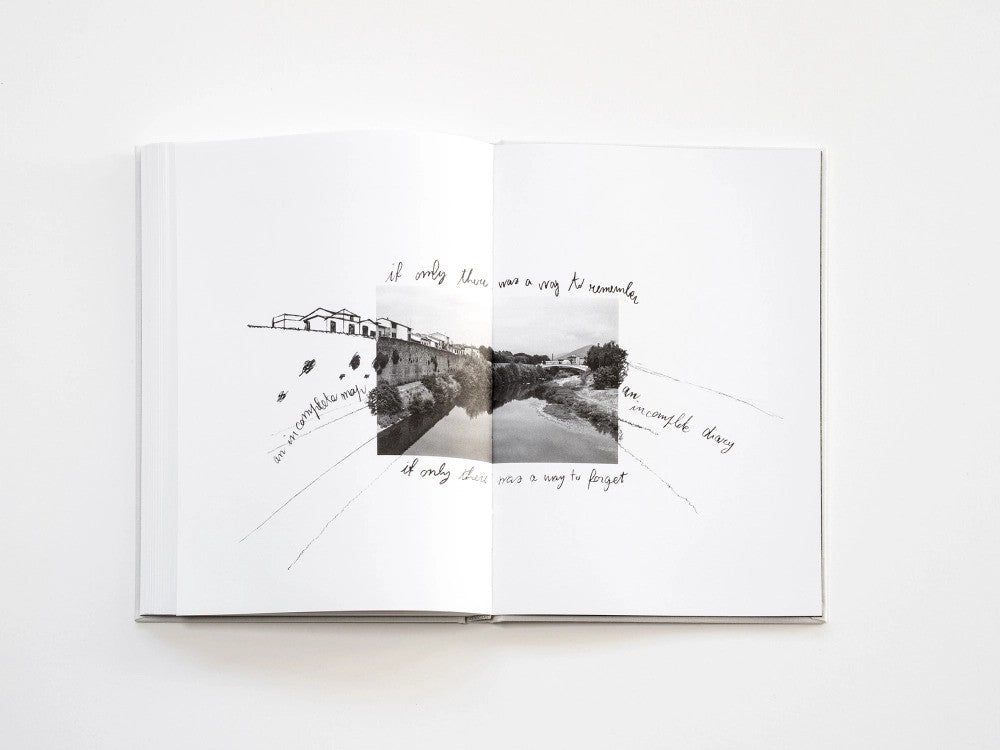 Filippo Zambon / Goodbye Meadow