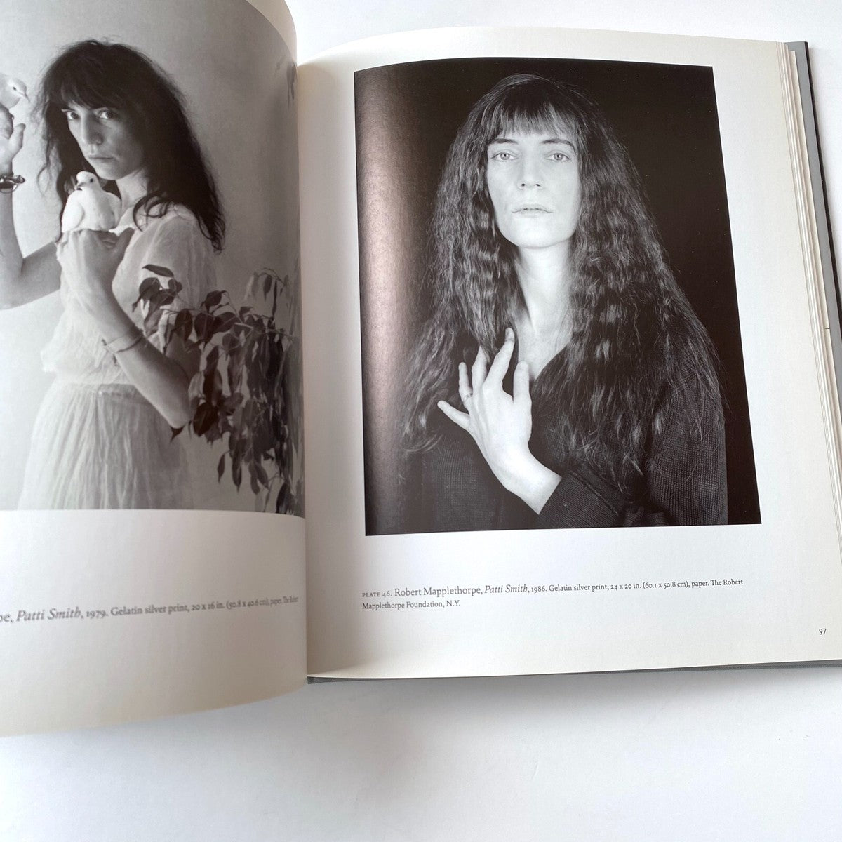 Patricia Hickson / Warhol & Mapplethorpe : guise & dolls