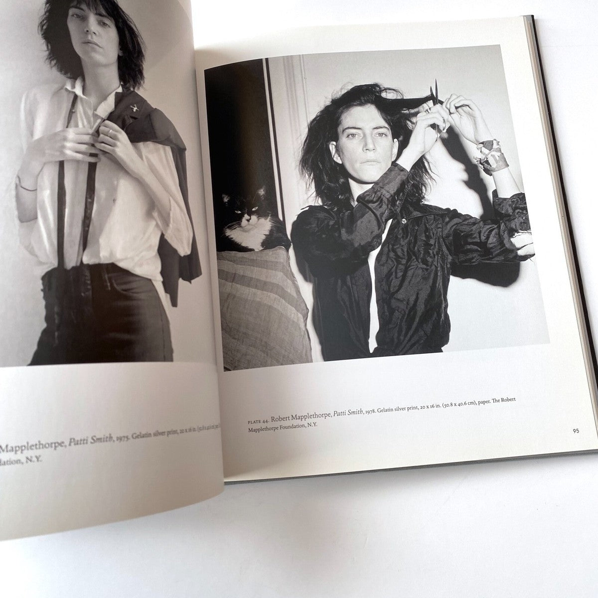 Patricia Hickson / Warhol & Mapplethorpe : guise & dolls