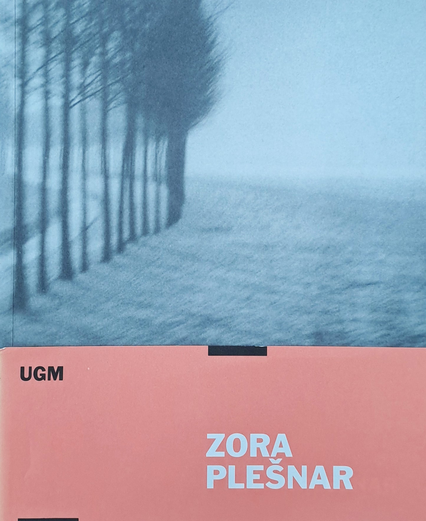 Zora Plešnar - Retrospective