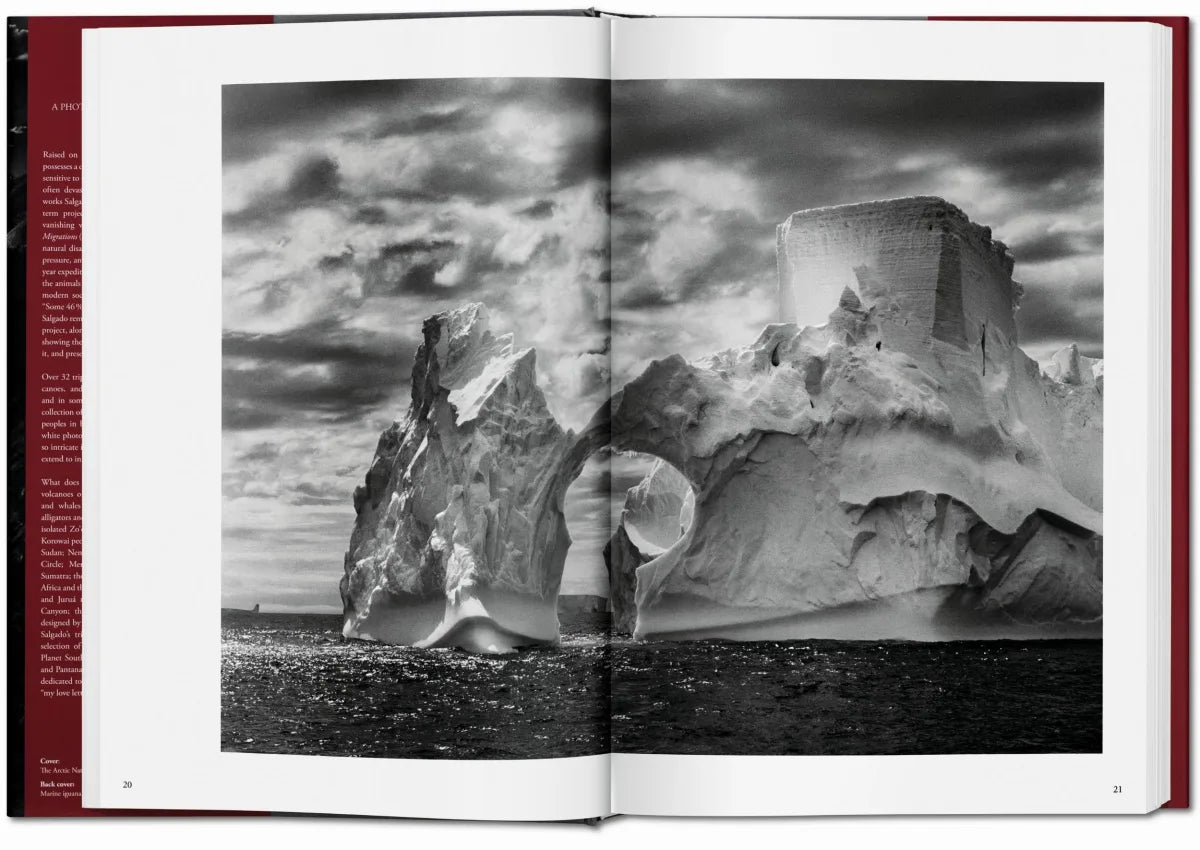 Sebastião Salgado / Genesis