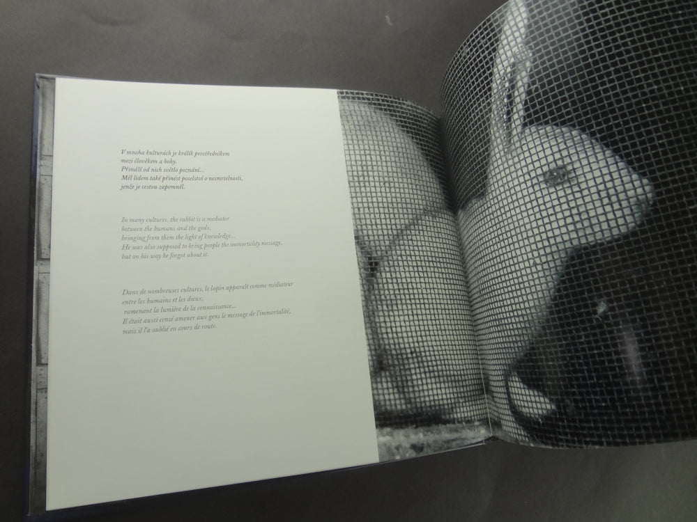 Zorka Saglova / Hrdina civilizátor/ The Civilisation Bringing Hero/ Le héros civilisateur
