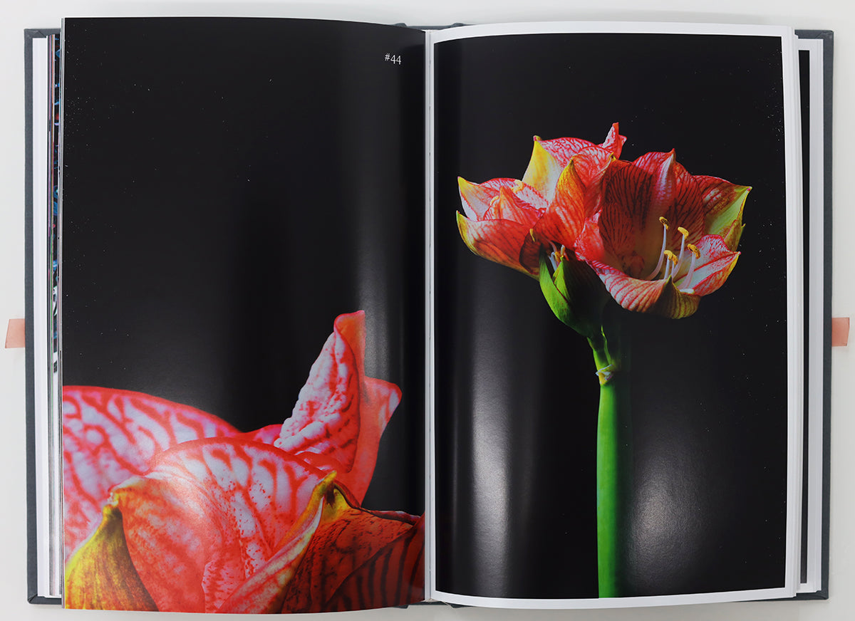 Tanja Lažetić / 100 Flowers