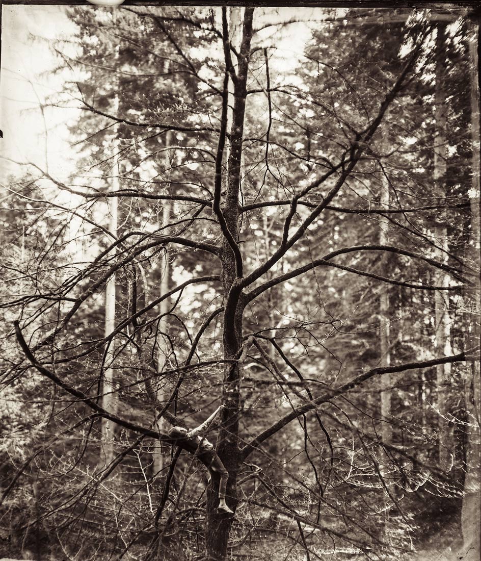 Borut Peterlin / A Father’s Tale
